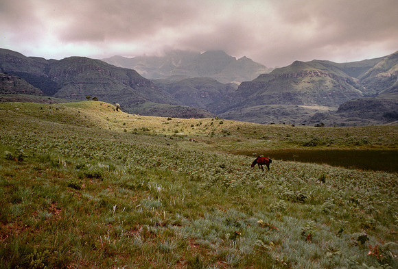 Drakensburg Range Natal RSA