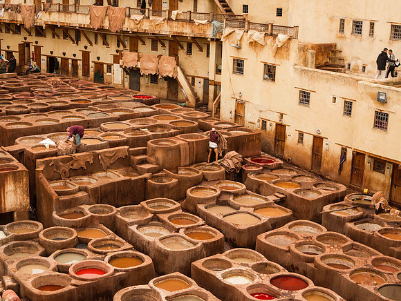 Tannery - Fez Medina
