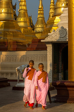 Buddhist Nuns Shwedagon Pagoda Yangon