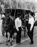 Hansom Cab, The Rocks, Sydney