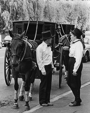 Hansom Cab, The Rocks, Sydney