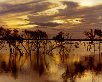 Lake Eyre SA