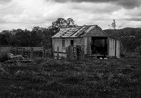 Old Shed Tyringham NSW