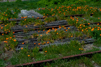 Rockley Station NSW