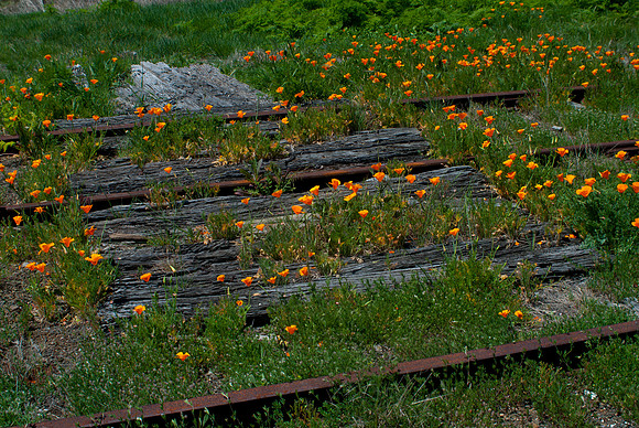 Rockley Station NSW