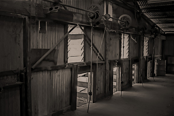 Shearing Shed Yerecoin WA