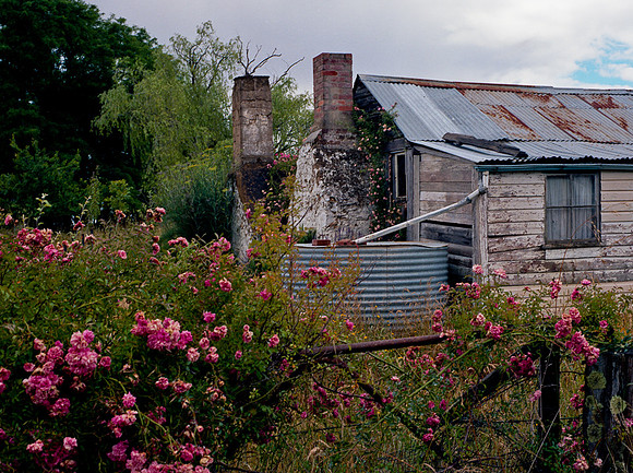 Old Farmhouse Collector NSW